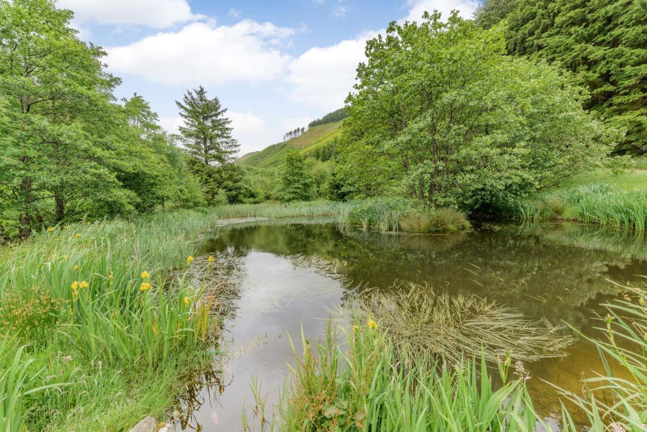 Groes Heol Villa Machynlleth Bagian luar foto